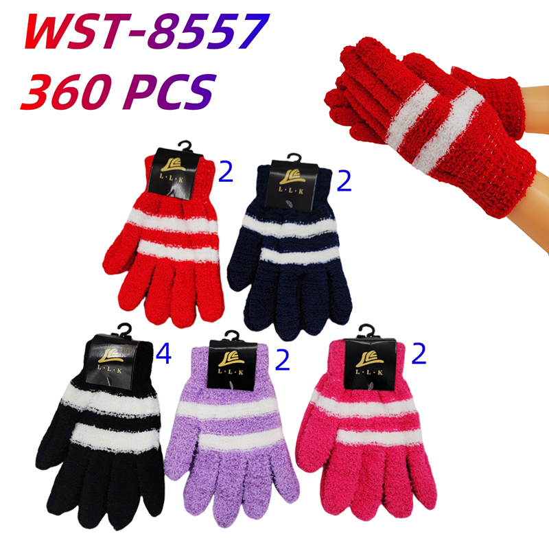 WST-8557 CS360